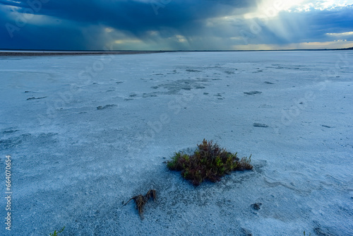 Broken dry soil in a Pampas lagoon, La Pampa province, Patagonia, Argentina. photo