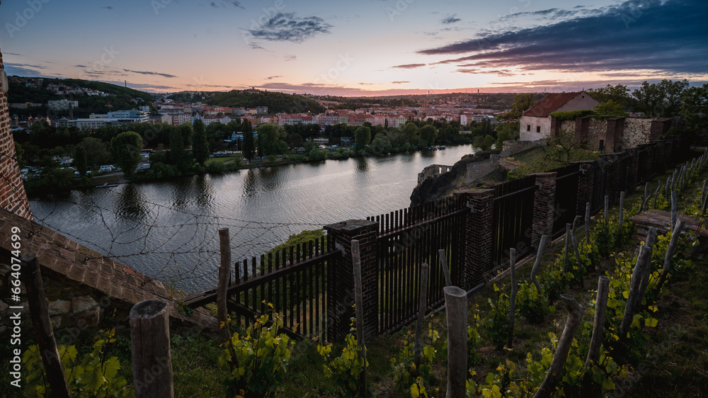A view of the Vltava River from Prague's Vyšehrad at sunset with the vineyard in the foreground and the historic walls.