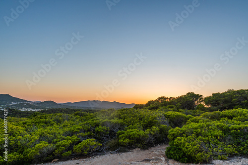 sunset at a wild forest near Christmafry s  a hiking area at cala ratjada on majorca island  spain