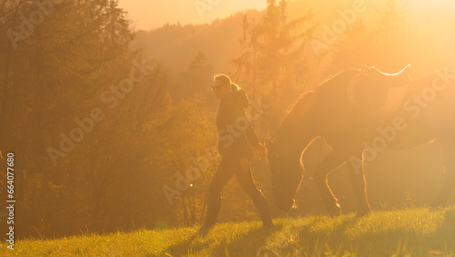 LENS FLARE, SILHOUETTE: Woman leads a saddled horse across golden glowing meadow
