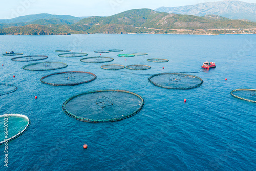 Offshore aquaculture fish farming cages for grow salmon in calm sea waters