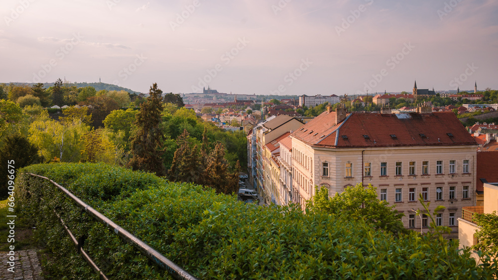 View of Prague Castle from the summer Vyšehrad. Amazing view of the city rooftops with green foreground.