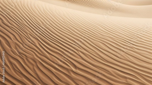 a large sand dune