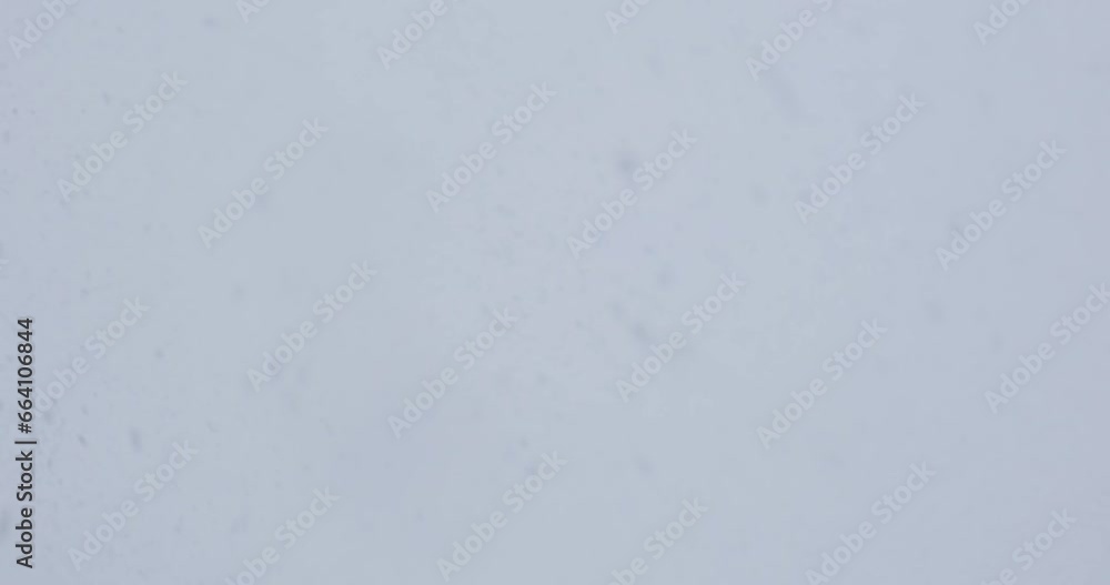 A blank expanse of snowy white fills the frame, representing a heavy snowfall or an overcast winter sky. A blank expanse of snowy white fills the frame, representing a heavy snowfall or an overcast winter sky.