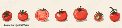 Set of tomatoes in different shapes and sizes