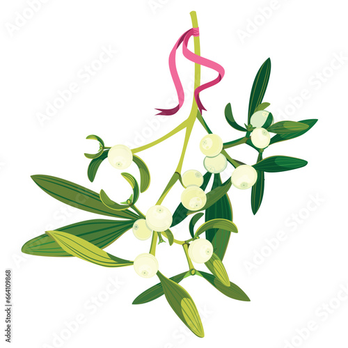 Christmas mistletoe. Vector. Green branches are tied with a ribbon and suspended from the ceiling - a New Year's place for a kiss. Illustration for Christmas cards and decorative design.