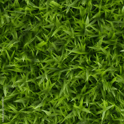 Fresh green seamless texture pattern of grass field