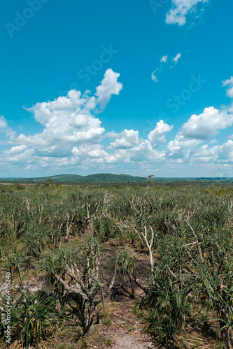 Serranía de La Macarena National Natural Park. Landscape with blue sky and vegetation. Meta, Colombia. 