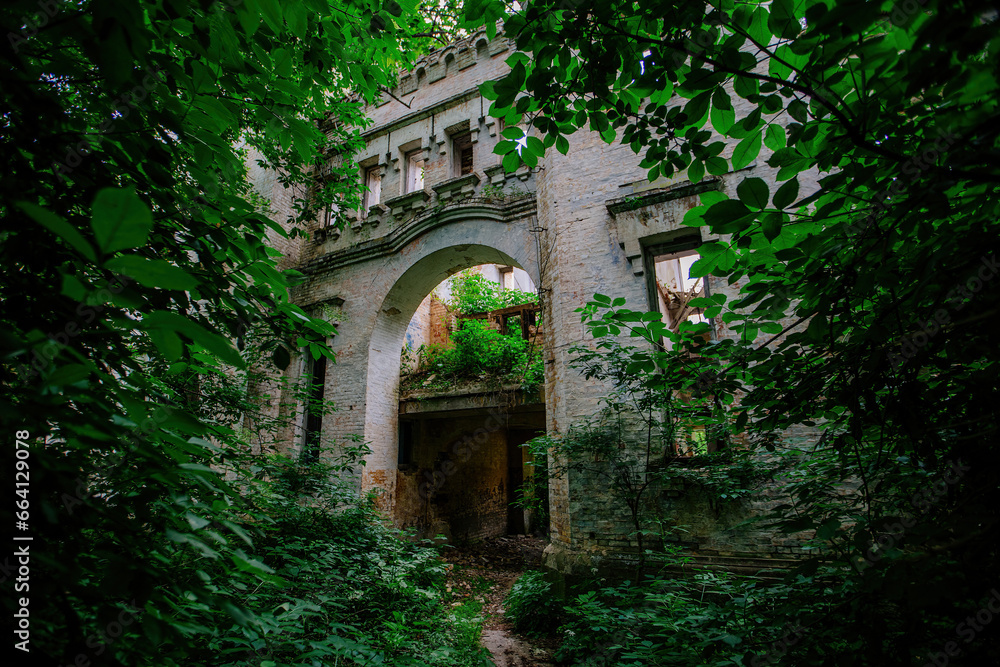 Old ruins of historical building overgrown by vegetation green post-apocalyptic concept