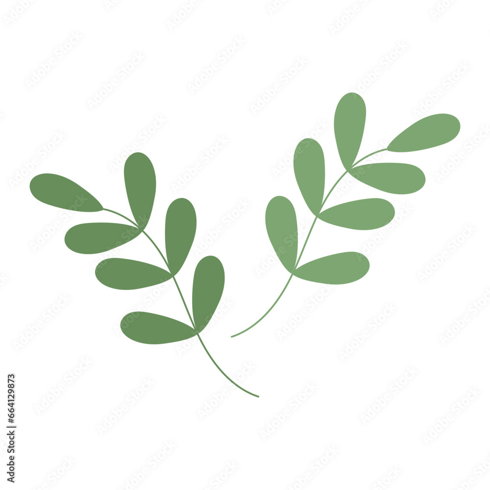 Set of 2 abstract spring twigs with small leaves in trendy green shades. Isolated design elements Set of 2 abstract spring twigs with small leaves in trendy green shades. Isolated design elements
