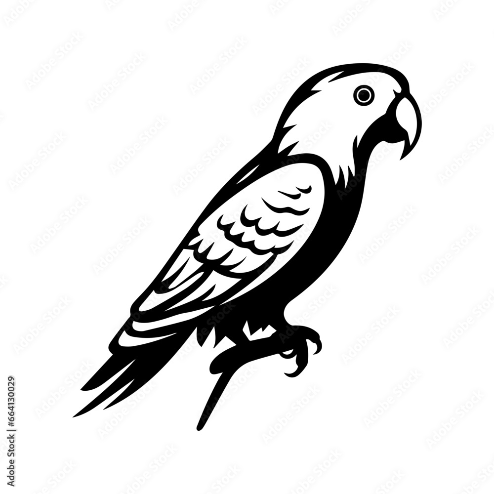  hand drawn sketch black and white vintage exotic tropical bird parrot macaw and cockatoo. Vector illustration isolated object,ai generated.