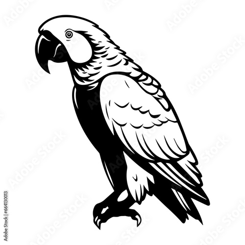  hand drawn sketch black and white vintage exotic tropical bird parrot macaw and cockatoo. Vector illustration isolated object,ai generated.