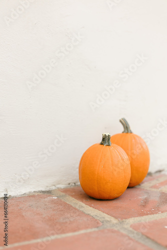 pumpkins on the stone tiles
