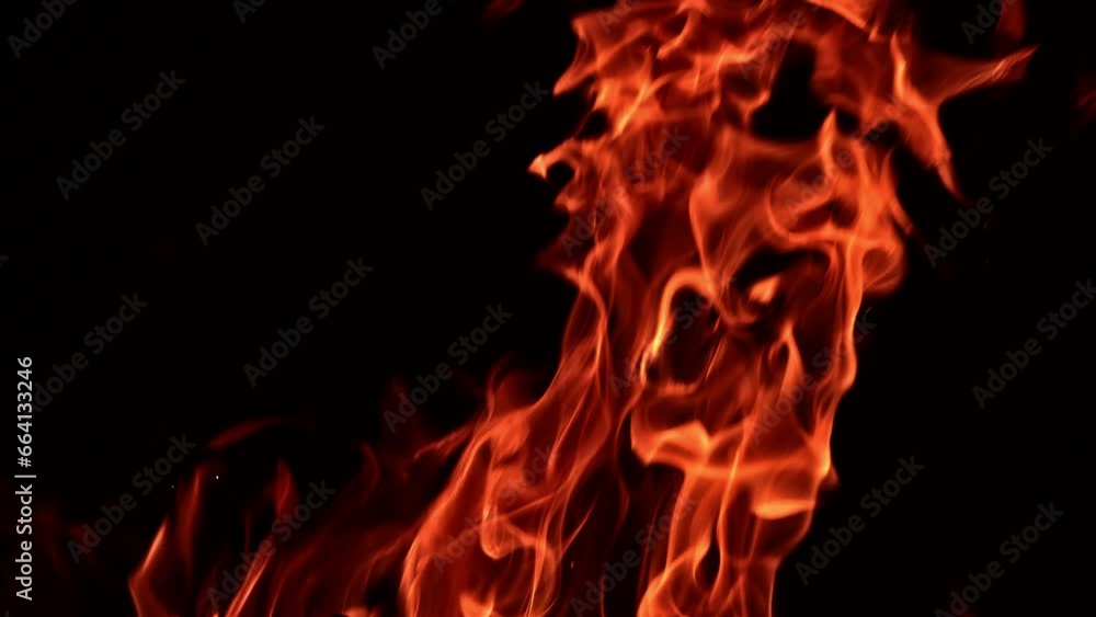 Red fire flames dancing in the darkness. Beautiful hypnotic view of the campfire close up. Red fire flames dancing in the darkness. Beautiful hypnotic view of the campfire close up.