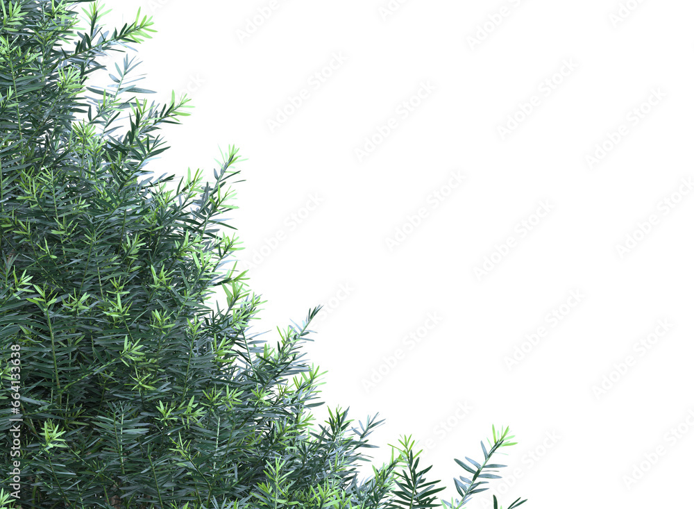 Obraz premium Various types of flowers grass bushes shrub and small plants isolated 