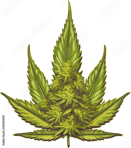 Cannabis Bud and Leaf Vector Illustration