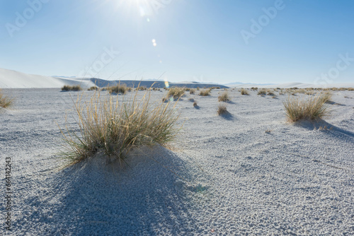 Fototapeta Naklejka Na Ścianę i Meble -  landscape in the white sand