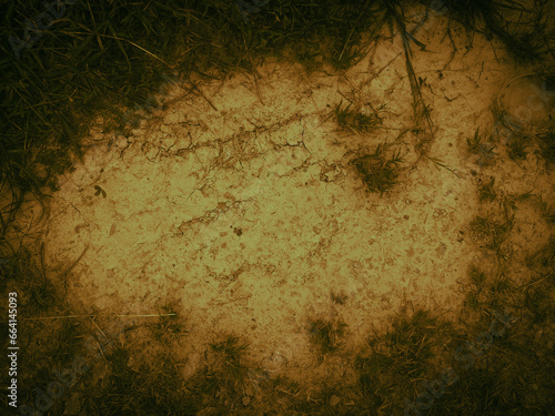 Dark background grass on the floor with space to put your text 