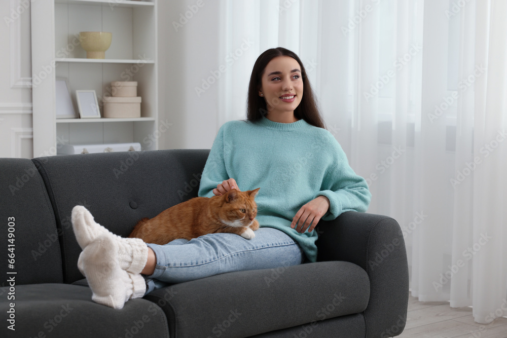 Beautiful woman petting cute cat on sofa at home Beautiful woman petting cute cat on sofa at home