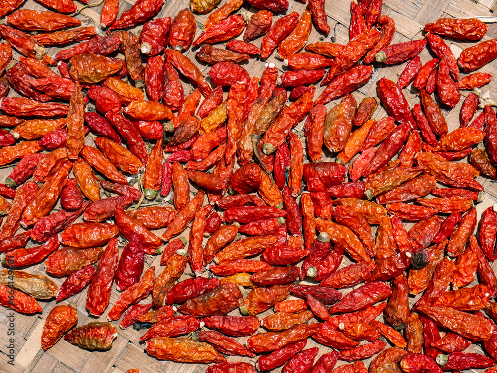 pattern of cayenne pepper dried under the hot sun
pattern of cayenne pepper dried under the hot sun