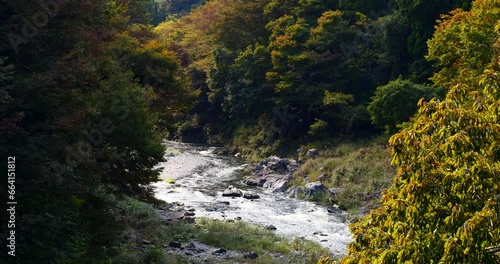 Scenery of a valley in Okutama surrounded by trees with autumn leaves. photo