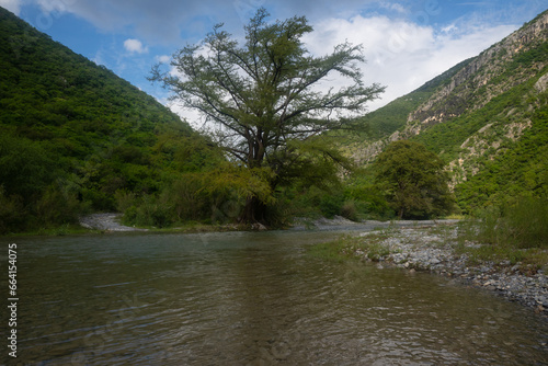 Landscape in Monterrey from Rio Pilon  rivers  water  stones  mountain