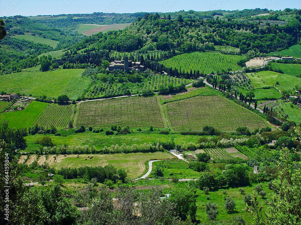 vineyards in italy