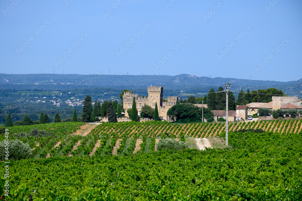 Vineyards of Chateauneuf du Pape appellation with grapes growing on soils with large rounded stones galets roules, lime stones, gravels, sand.and clay, famous red wines, France