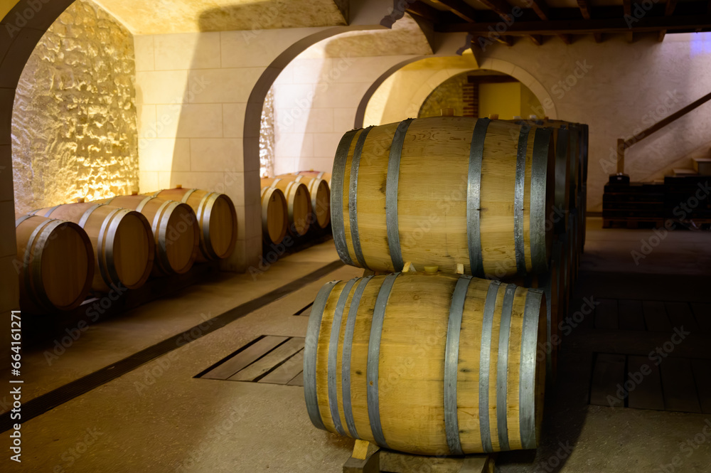 Wine tour in cellars of domain in Pouilly-Fume appellation, white wine from vineyards of Pouilly-Fume appellation near Pouilly-sur-Loire, France Wine tour in cellars of domain in Pouilly-Fume appellation, white wine from vineyards of Pouilly-Fume appellation near Pouilly-sur-Loire, France
