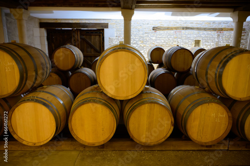 Wine tour in cellars of domain in Pouilly-Fume appellation, white wine from vineyards of Pouilly-Fume appellation near Pouilly-sur-Loire, France photo