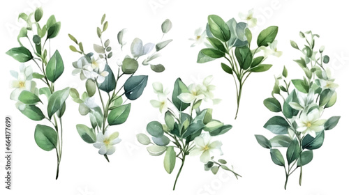 Vector elements set collection of tropical green eucalyptus in Watercolor style. Illustration for cosmetics, spa, beauty care products, Wedding Invitation, save the date, thank you, greeting card.