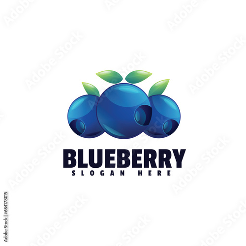Blueberry colorful logo design