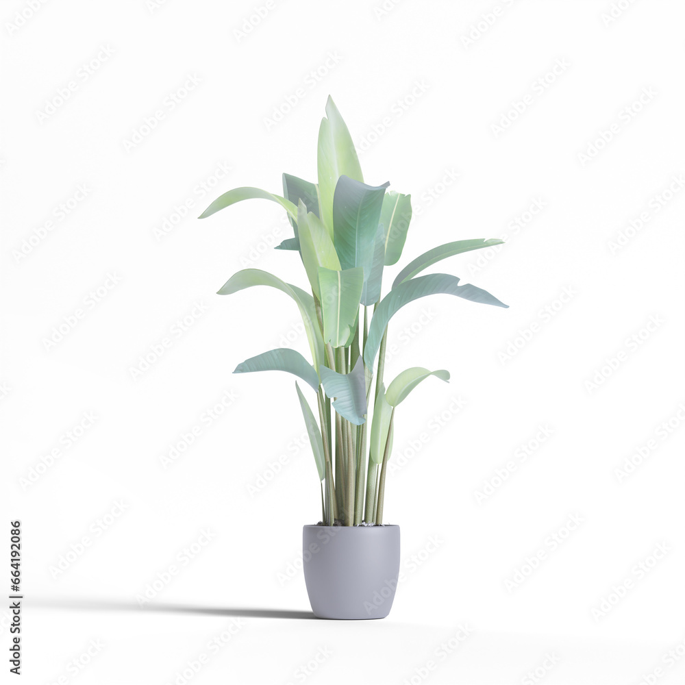 Realistic plants and flower white clean background