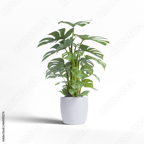 Realistic plants and flower white clean background