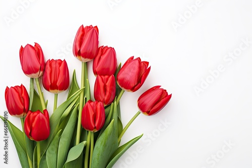 Red tulips isolated on white background. © Anny