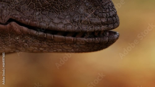 Close up of Velociraptor dinosaur's teeth in a 3D animation