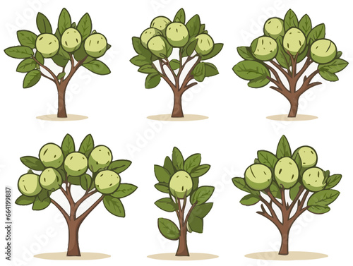 Doodle Walnut tree, cartoon sticker, sketch, vector, Illustration, minimalistic