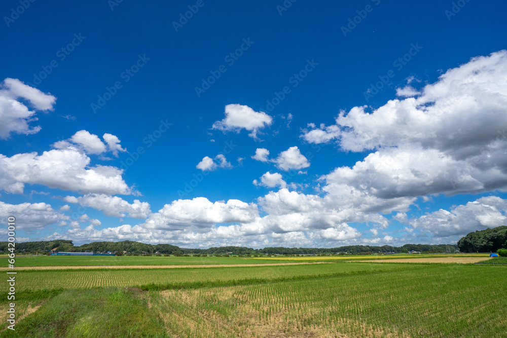 田園風景