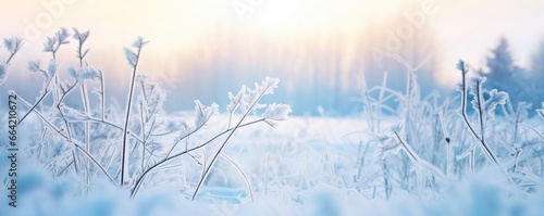 Frozen snowy grass  winter natural abstract background. beautiful winter landscape.