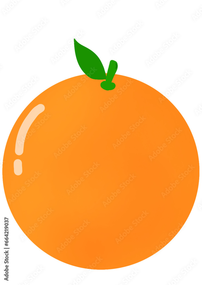 orange fruit orange fruit