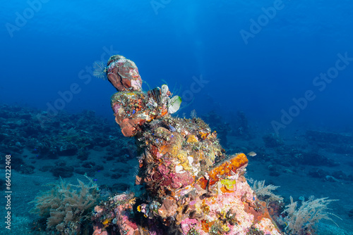 Underwater Statue Tulamben