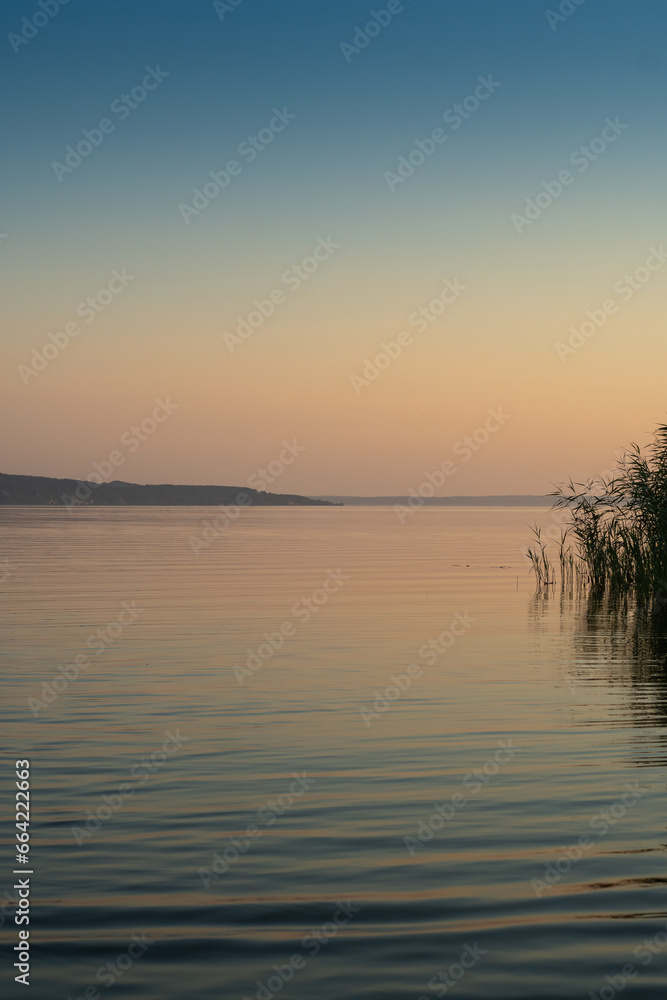 The sun rises or sets over a river with thickets of reeds.