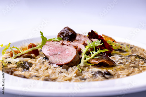 Mushroom risotto with truffle sauce and grilled tenderloin