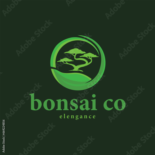 vintage bonsai tree logo vector circle emblem, bonsai design illustration for decoration, bonsai icon for business branding