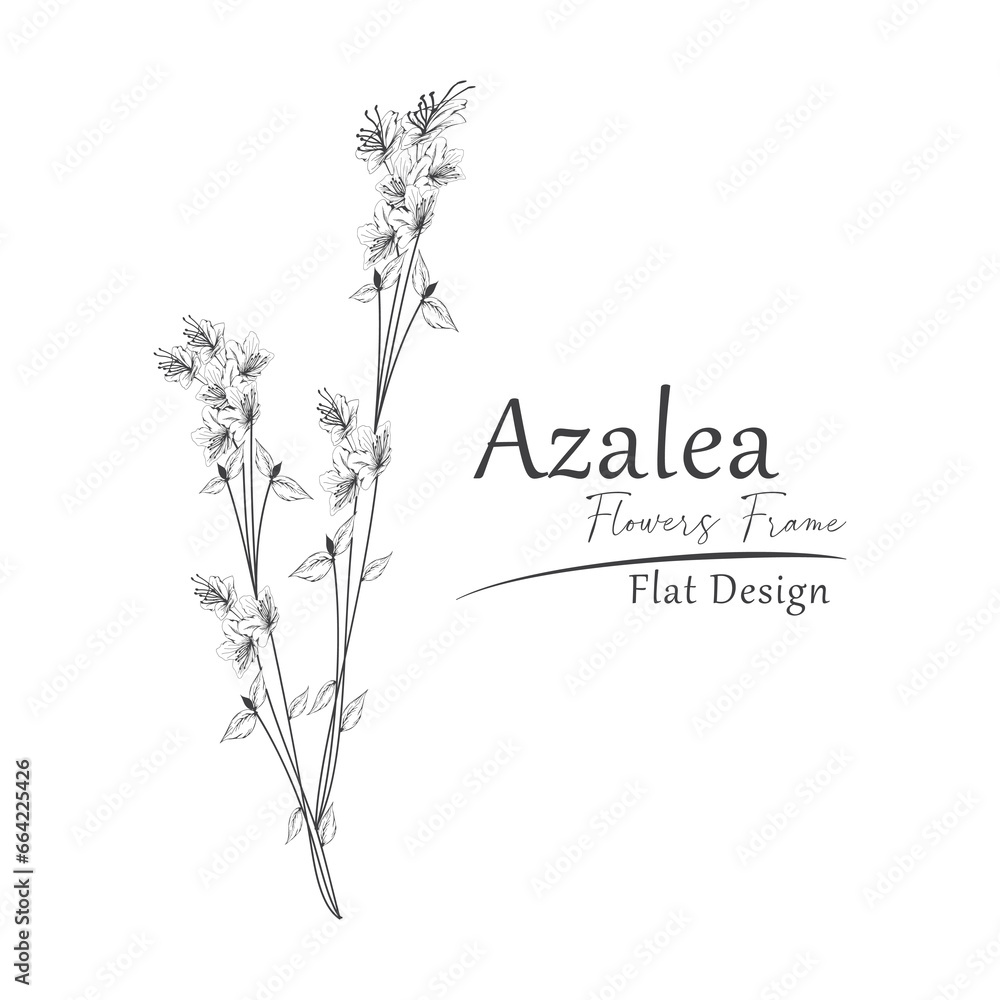 vector illustration azalea flower sketch. hand drawn.