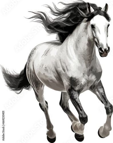 Black and white horse running clip art © Diana
