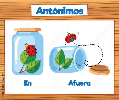 Antonym Word Card: En and Afuera