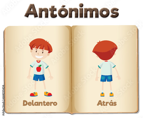Antonym Word Card: Delantero and Atrás in Spanish