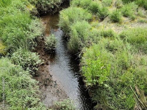 Clear water flowing into the river in a wetland