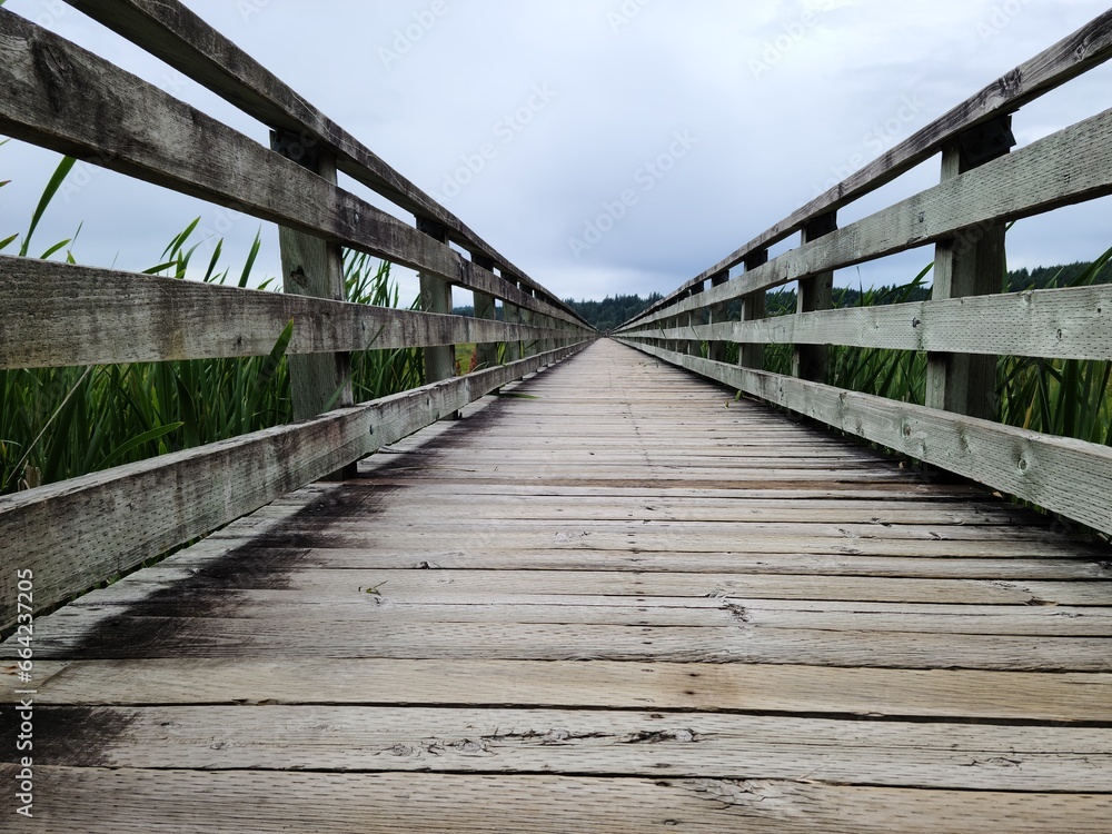 Perspective, low angle view of a wooden bridge over the river near wetland